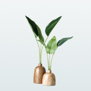 HyperFresh plant on wooden vase